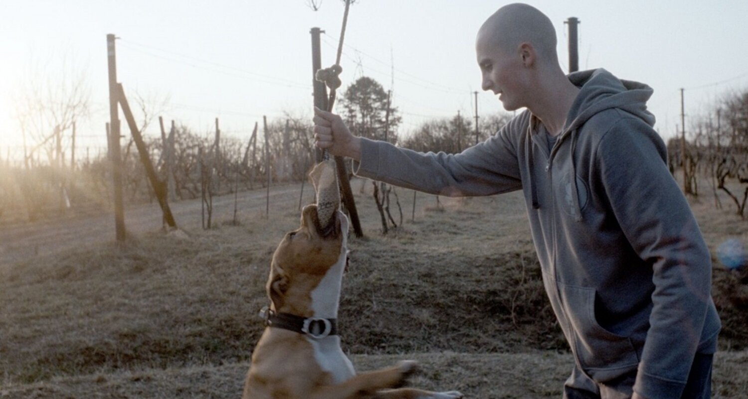 my-dog-killer-pic