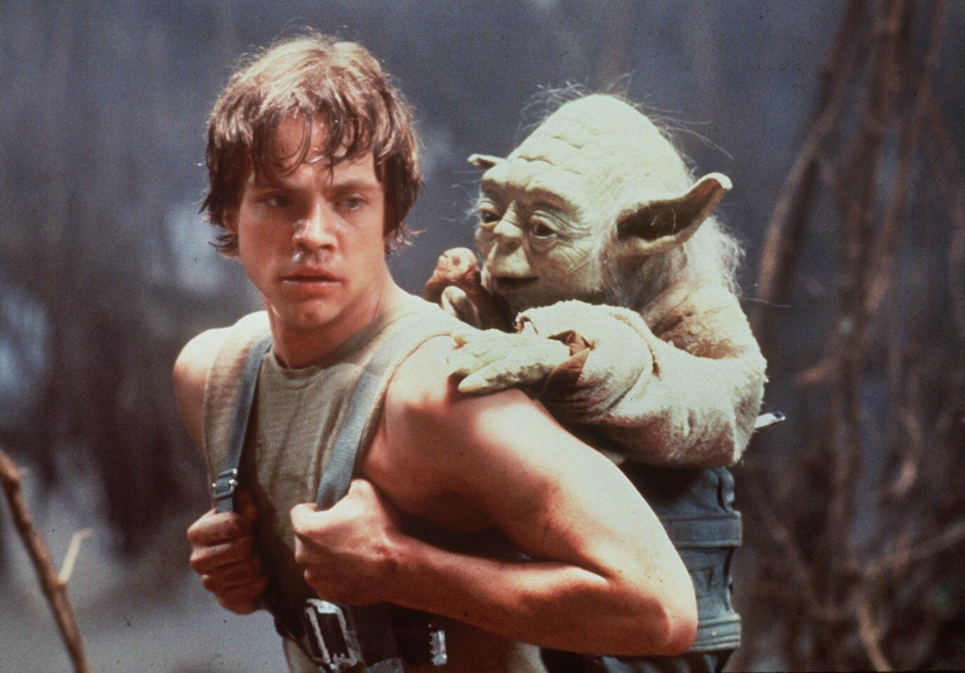 mark-hamill-1-filmloverss