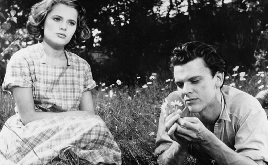 Hon dansade en sommar