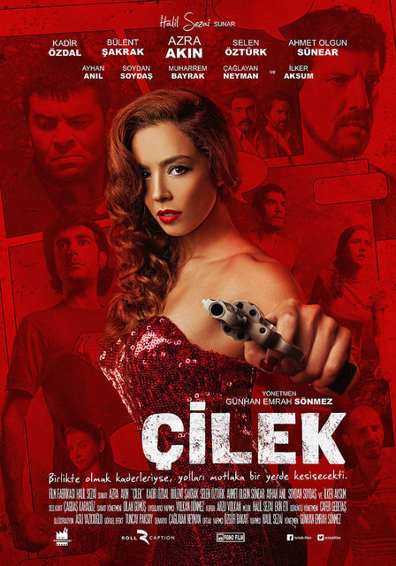 cilek-filmi