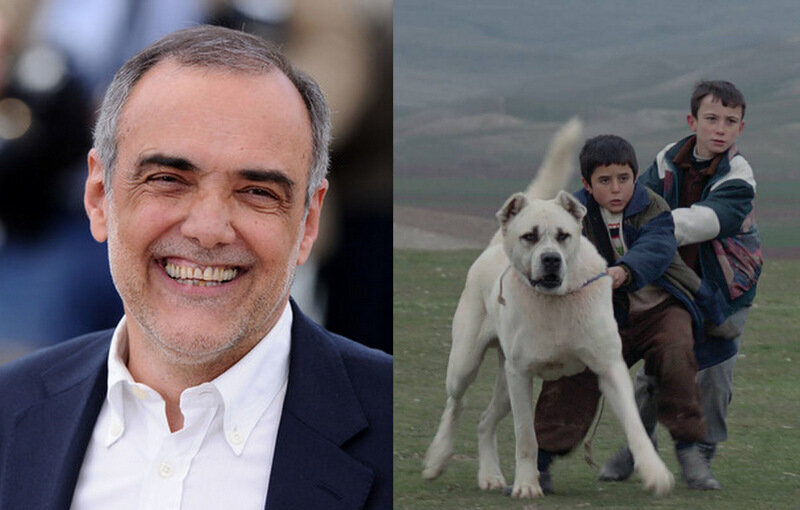 Sivas Filmine, Alberto Barbera’dan Övgü!