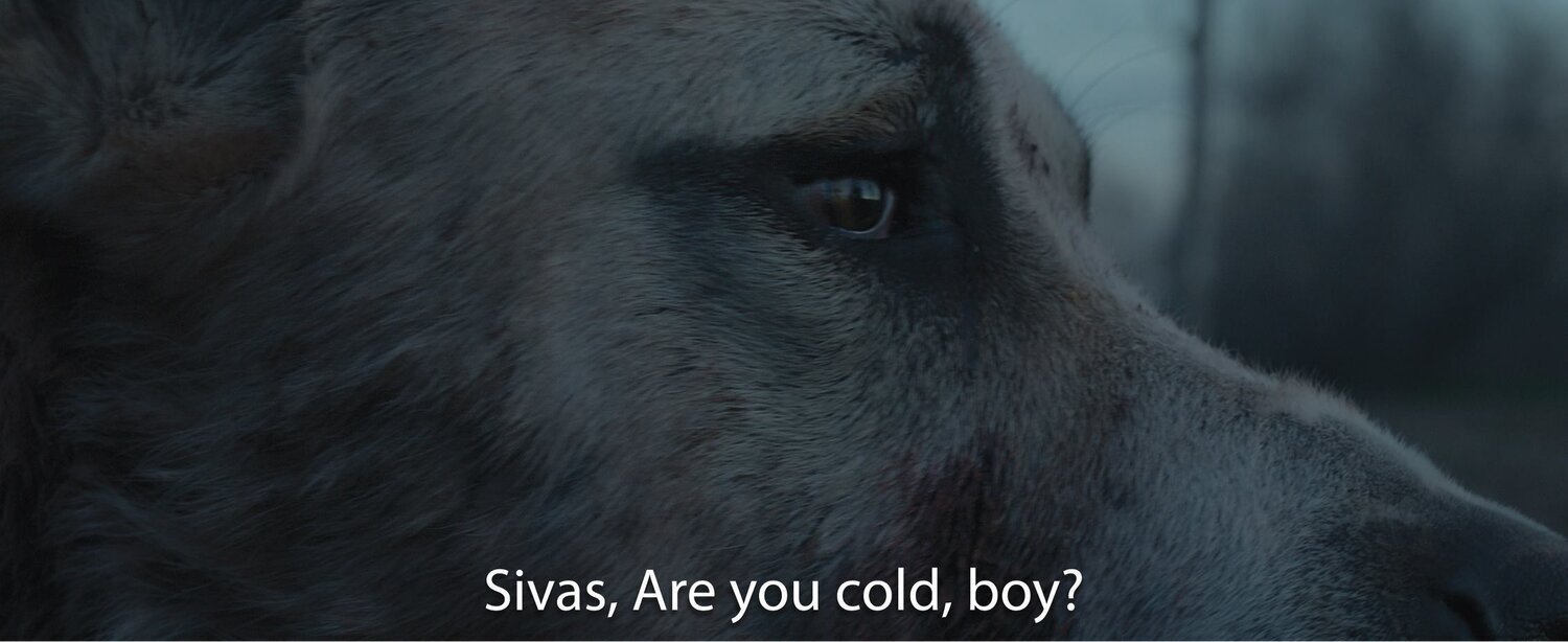 sivas-filmloverss