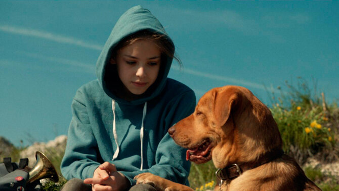 Macaristan, Akademi’ye ‘White God’ı Yolluyor!