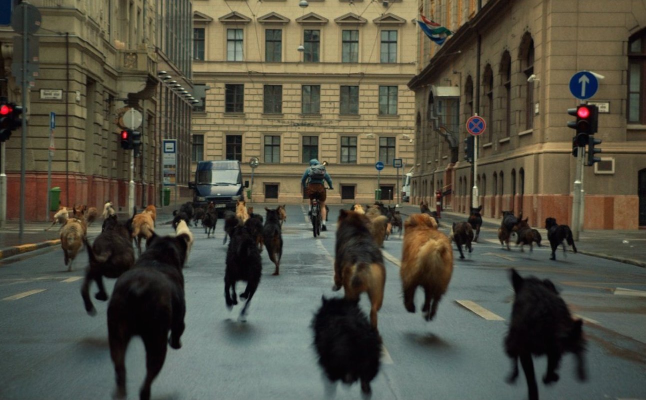 Beyaz Tanrı – White God