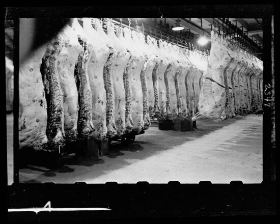 Racks of meat in cold storage in a meat locker