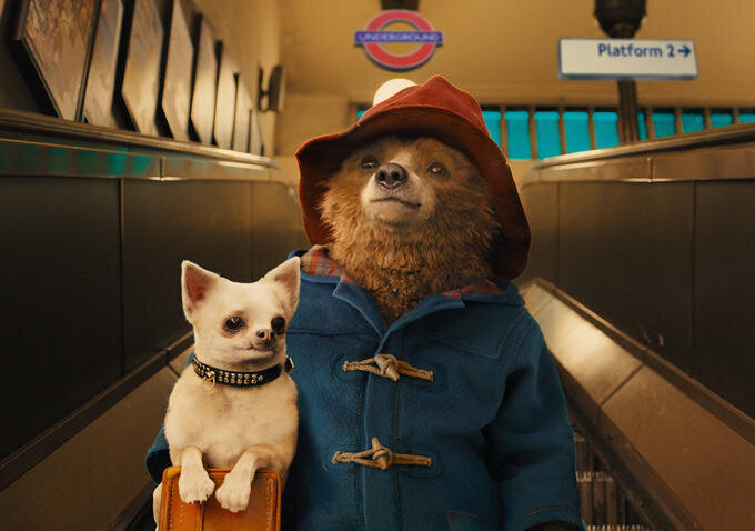 Paddington’ın Yeni Fragmanı Yayınlandı!
