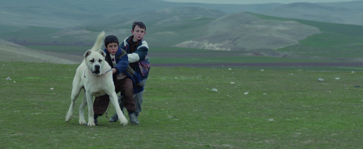 sivas-baska-sinema-4-filmloverss