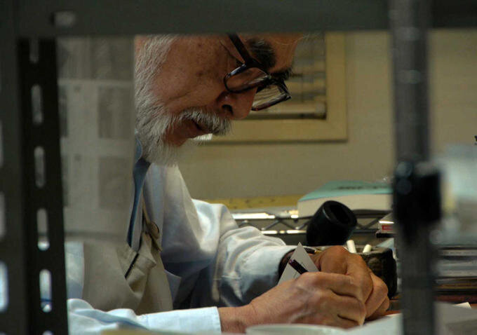 Studio Ghibli’nin Büyülü Dünyası: The Kingdom of Dreams and Madness