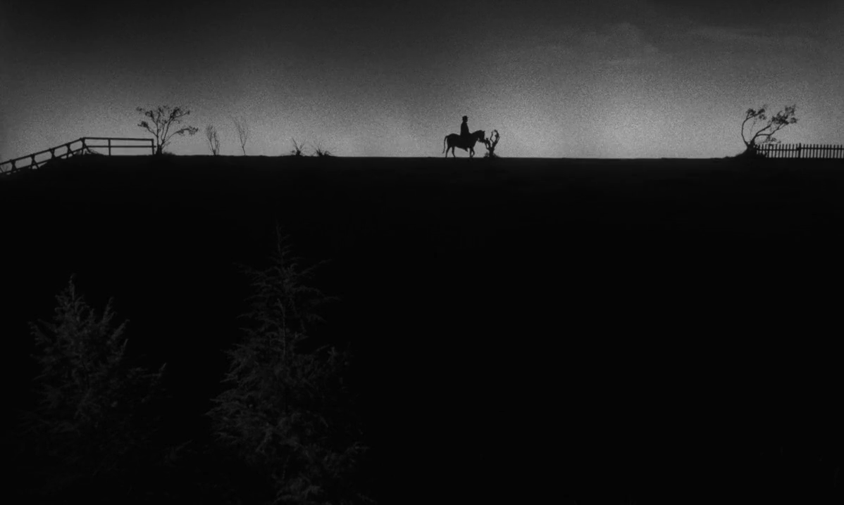 night of the hunter