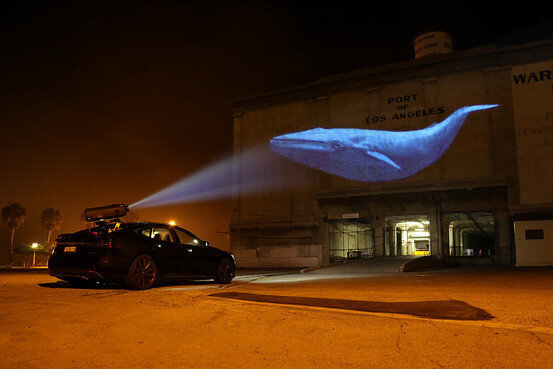 racing-extinction-sundance-filmloverss