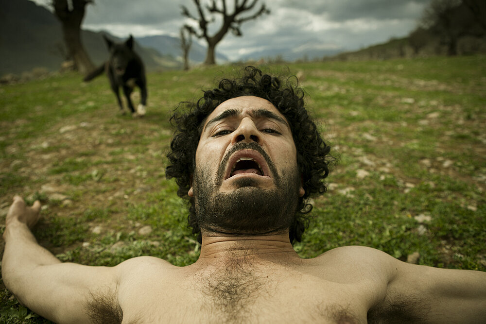 Mardan-filmloverss
