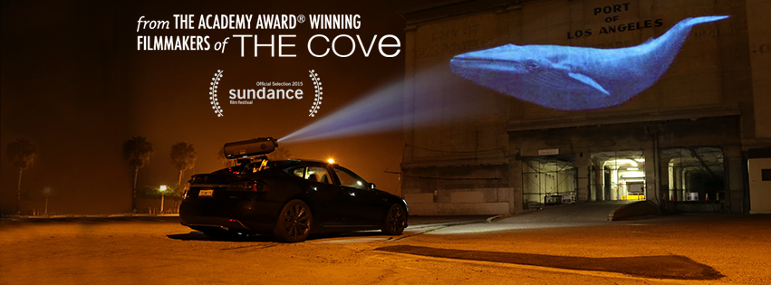 racing-extinction-filmloverss
