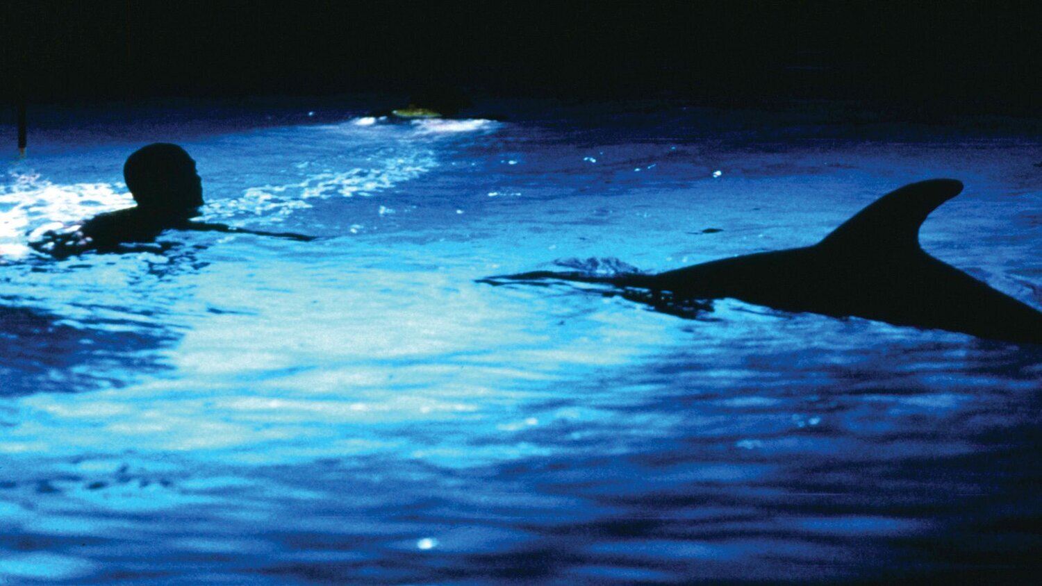le-grande-bleu-filmloverss
