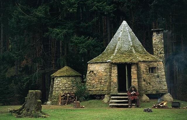 wb hagrid - filmloverss