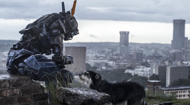 Chappie