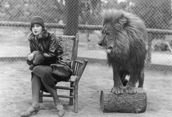 MGM-aslani-3-filmloverss