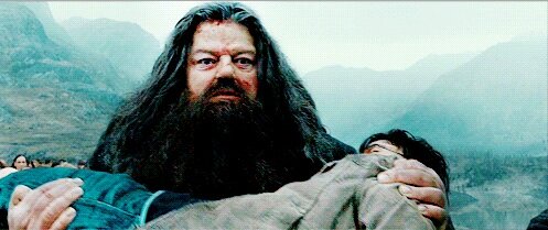 hagrid-harry-potter-filmloverss
