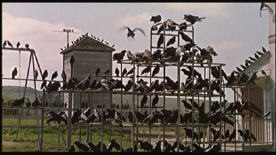 Birds-hitchcock-filmloverss