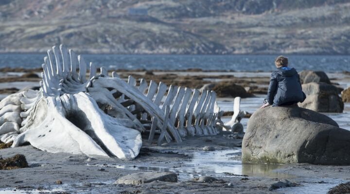 Leviathan Filminin DVD’si 24 Nisan’da Satışa Çıkıyor!