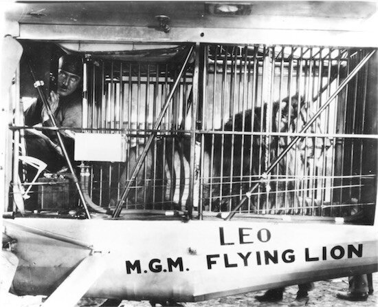 MGM-aslani-6-filmloverss
