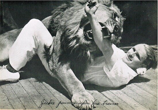 jackie-mgm-aslan-filmloverss