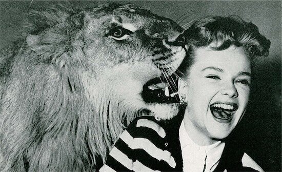 leo-the-lion-1-filmloverss