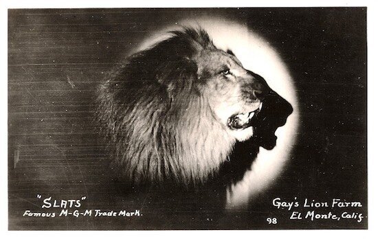 mgm-aslan-slats-filmloverss