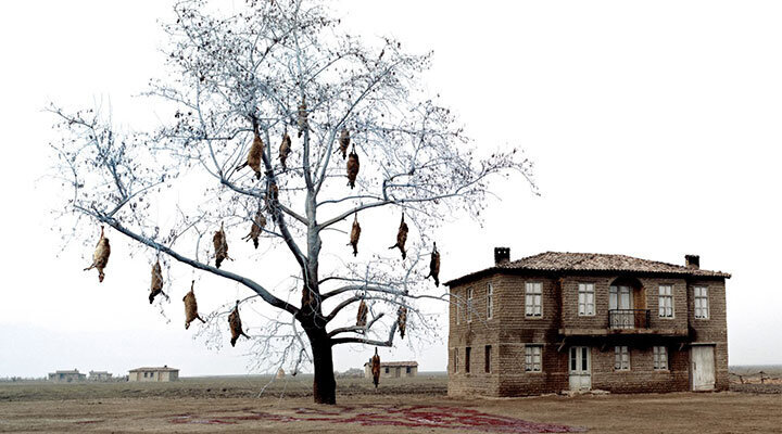 Balkanlarda Dolaşır Bir Yunan Şair: Theodoros Angelopoulos