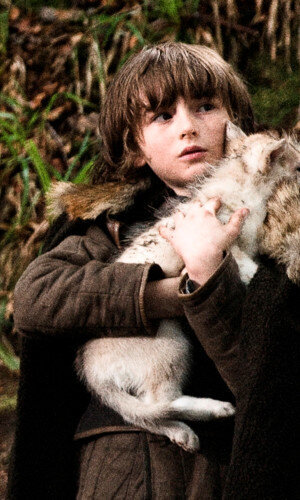 bran-stark-filmloverss