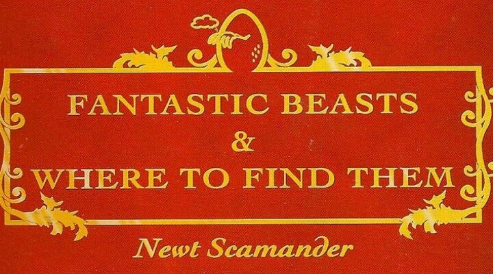 Fantastic Beasts and Where to Find Them’de Yer Alması Muhtemel Aktrisler