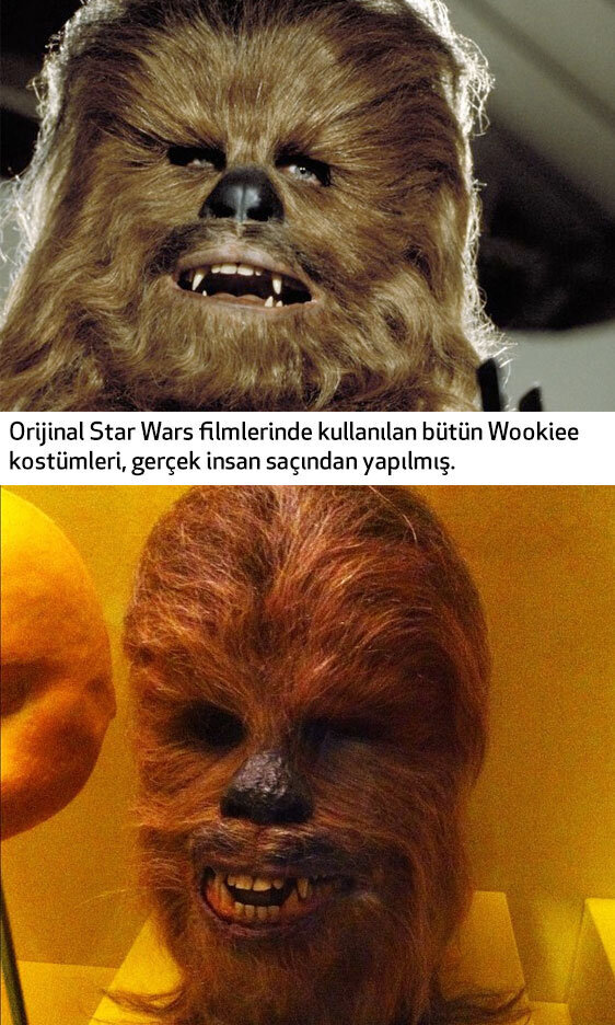 star-wars-wookiee-filmloverss
