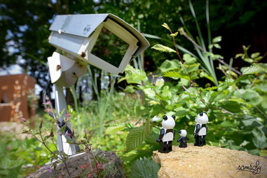 lego-11-fotograf-samsofy-pardugato-fl