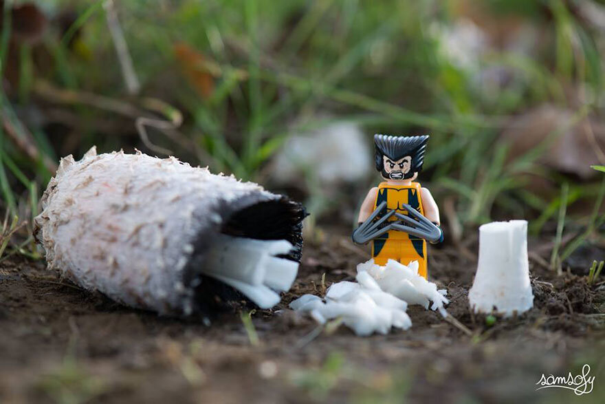 lego-2-fotograf-samsofy-pardugato-fl