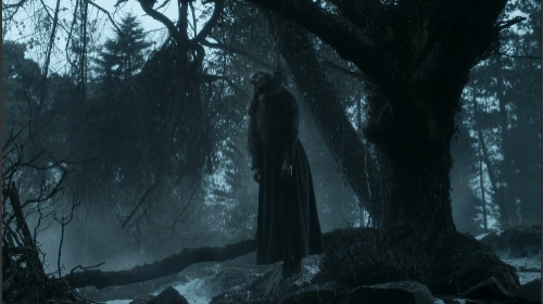 selyse-filmloverss
