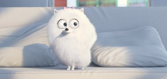 the-secret-life-of-pets-1-filmloverss