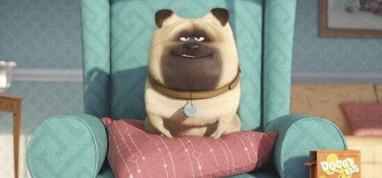 the-secret-life-of-pets-5-filmloverss
