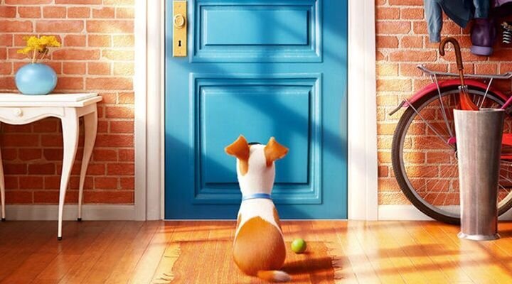 The Secret Life of Pets’ten İlk Fragman!