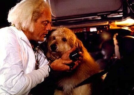 einstein-back-future-filmloverss