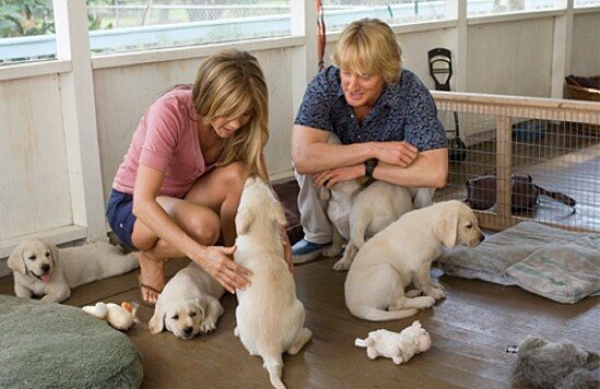 marley-and-me-filmloverss