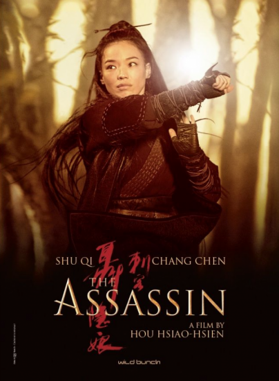 the assassin-poster-int-filmloverss