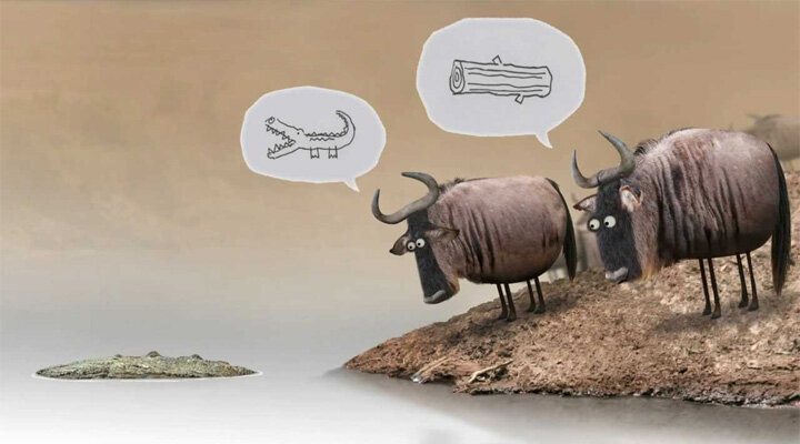 Haftanın Kısa Filmi: Wildebeest