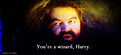 hagrid-harry-potter-filmloverss