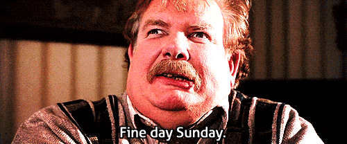harry-potter-vernon-dursley-filmloverss