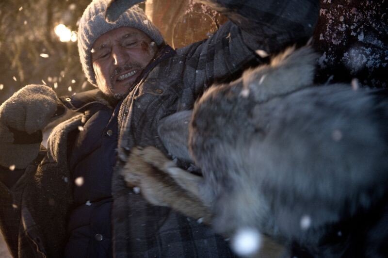 liam-neeson-the-grey-filmloverss