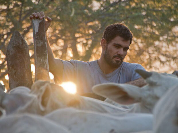 neon-bull-1-filmloverss