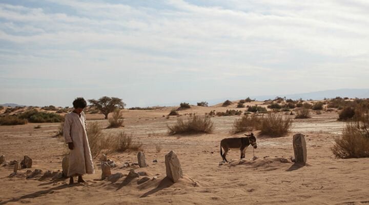 Venedik’ten En İyi Yönetmen Ödülüyle Dönen Theeb’in Fragmanı Yayınlandı