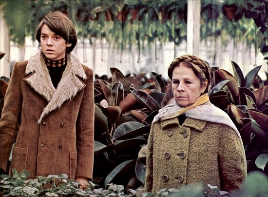 harold-and-maude-filmloverss