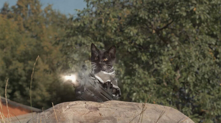 Kediler Zombilere Karşı!