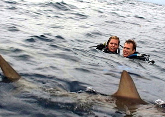open-water-filmloverss
