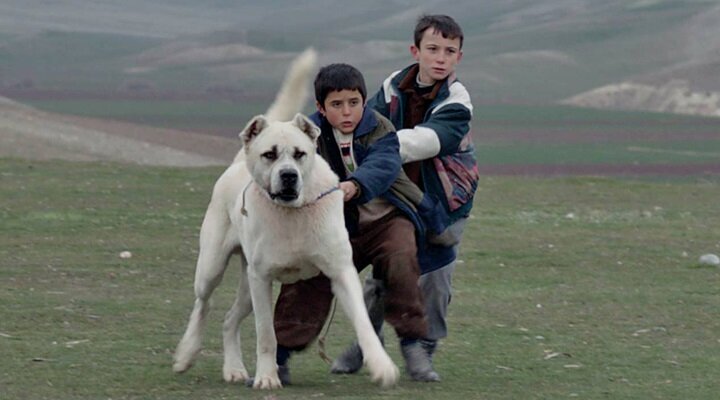 Sivas Türkiye’nin Oscar Aday Adayı!